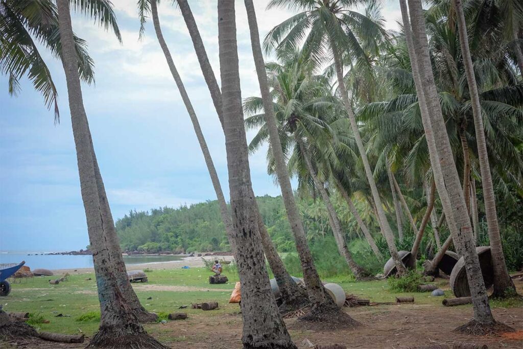 Peaceful palm-fringed coastline of Tam Hai Island with small round fishing boats scattered along the green shore.