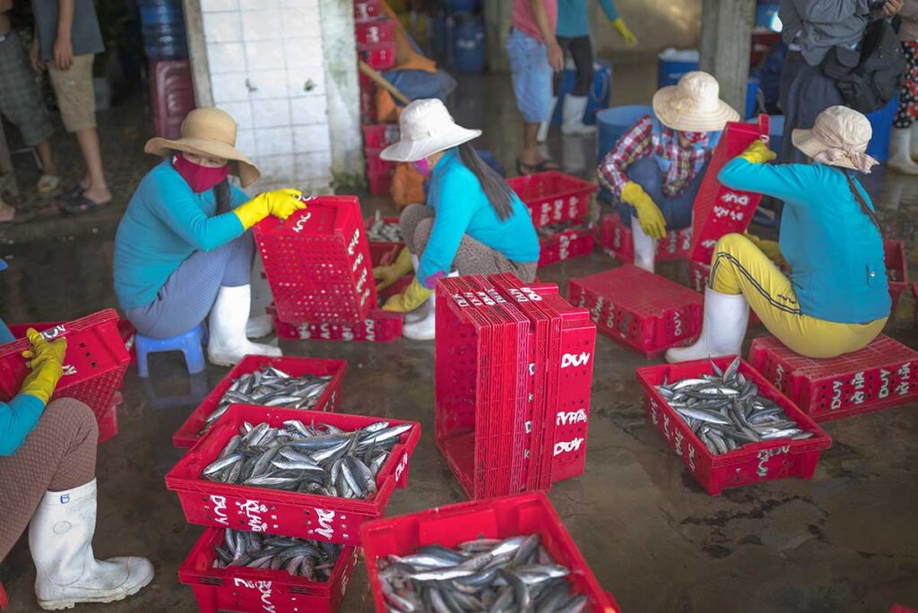 Women sort fresh fish into red crates at a small seafood market on Tam Hai Island, part of the island’s vibrant morning trade.