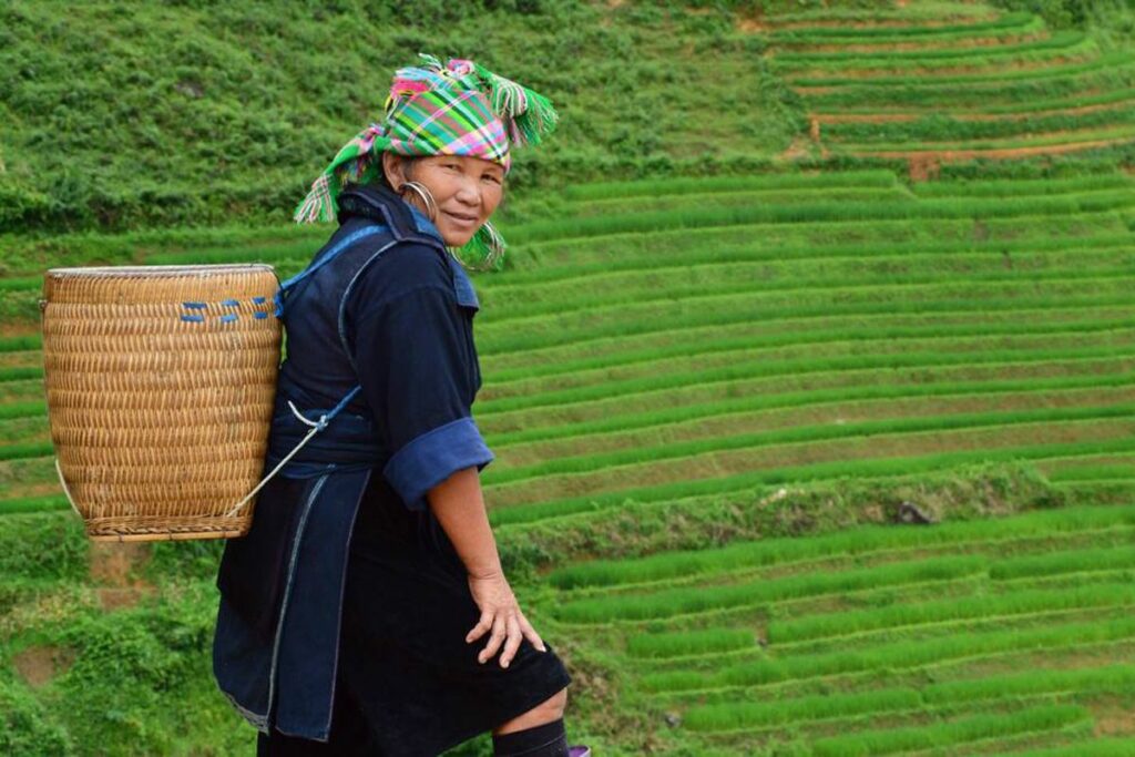 Sapa trekking