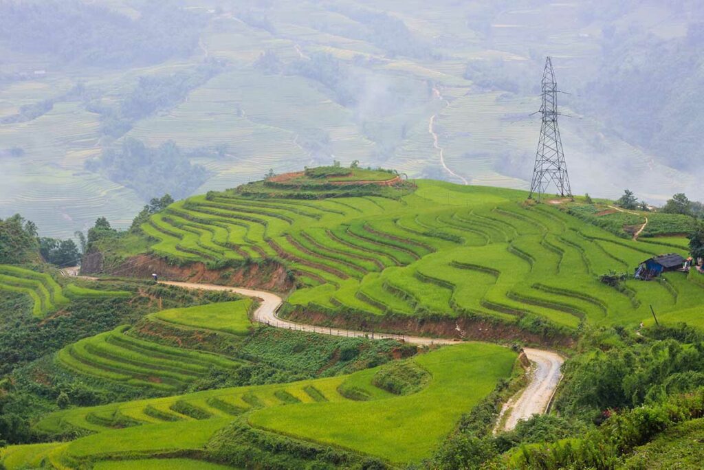 Sapa rice fields near the village of Y Linh Ho