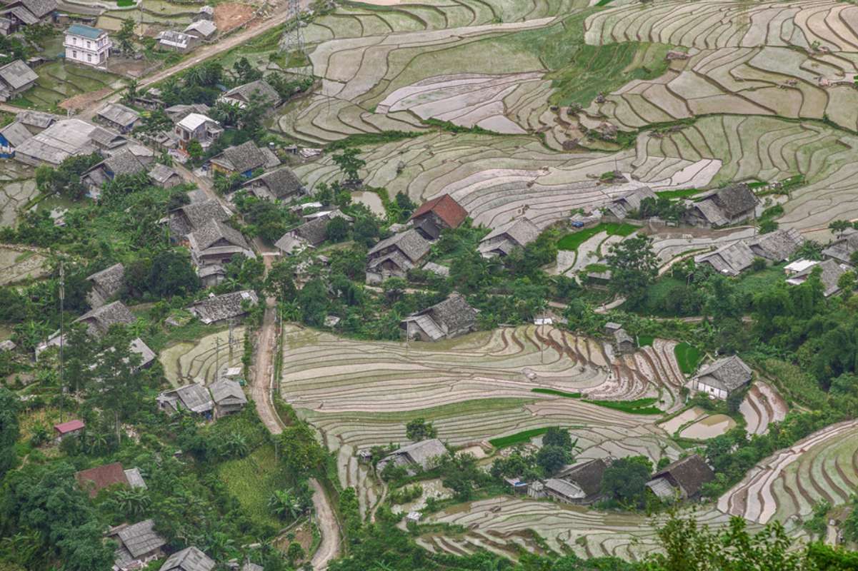 Ban Ho Sapa rice fields