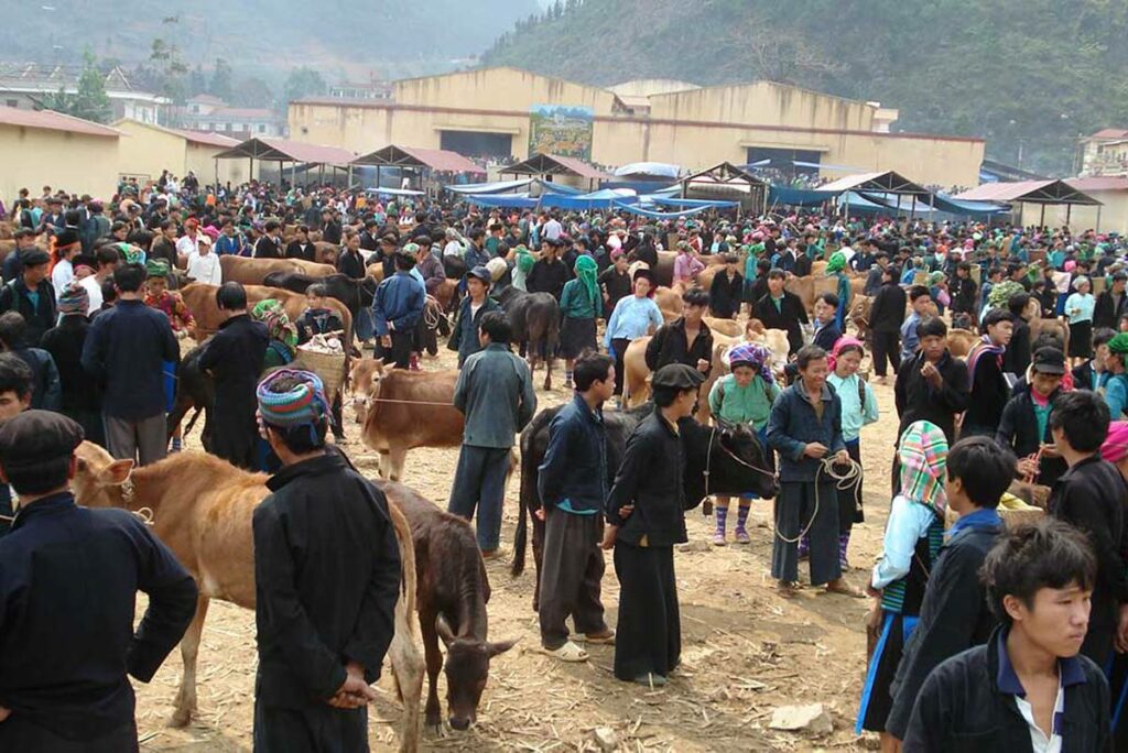 cattle market in Ha Giang Meo Vac