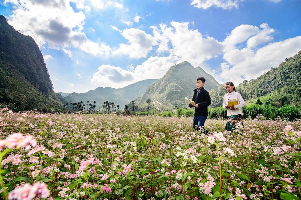 flowers in Sung La Valley