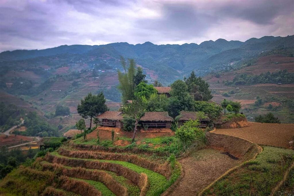 Hello Mu Cang Chai Homestay located on top of a hill with rice terraced below