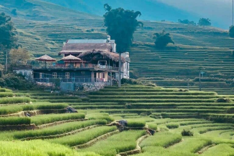 Hoa's homestay Sapa - Ảnh 4