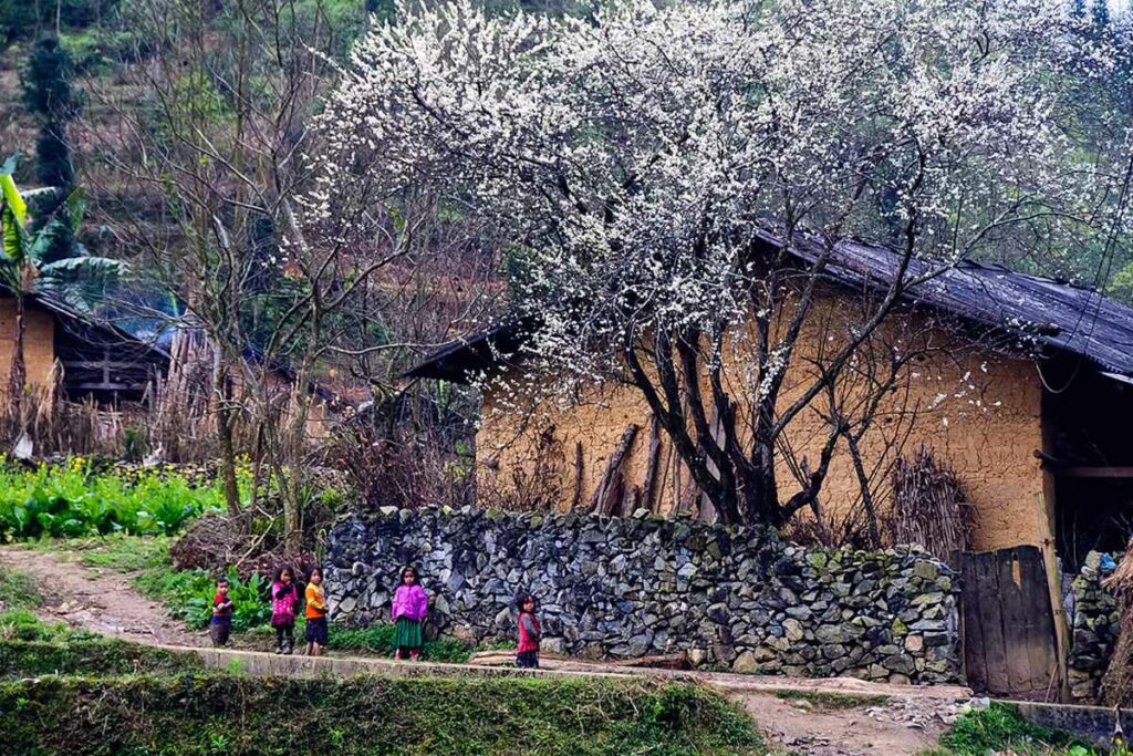 Lung Cam Village