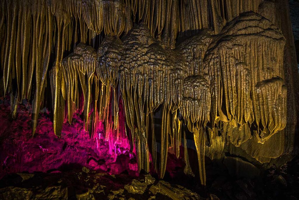 Stalactites in Lung Khuy Cave illuminated by pink LED lights, creating a surreal underground scene.