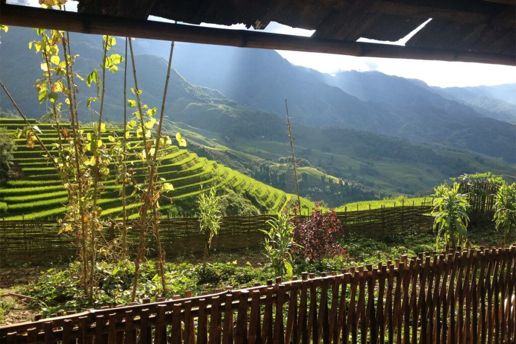 Sapa homestay view