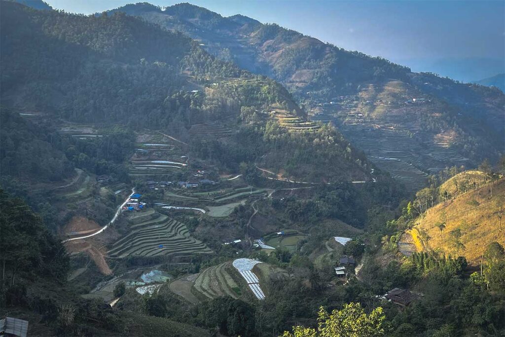 Panoramic view of terraced rice fields at Ta Muong Village – A spectacular, unobstructed view of the lush terraced rice fields and rolling mountains at Ta Muong Village in Ha Giang.
