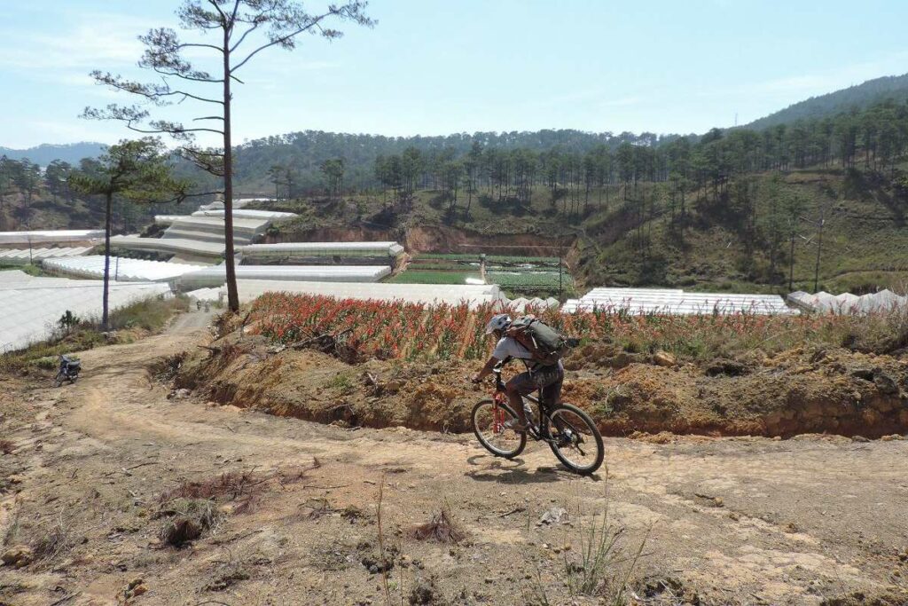 Crazy 8 mountain biking trail in Dalat