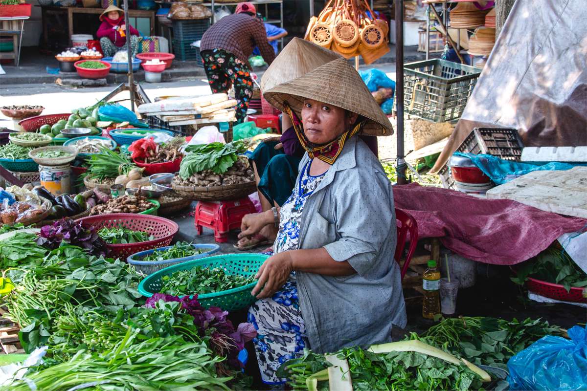 Hoi An 2023 | 10 Best Thing to Do & Travel Guide