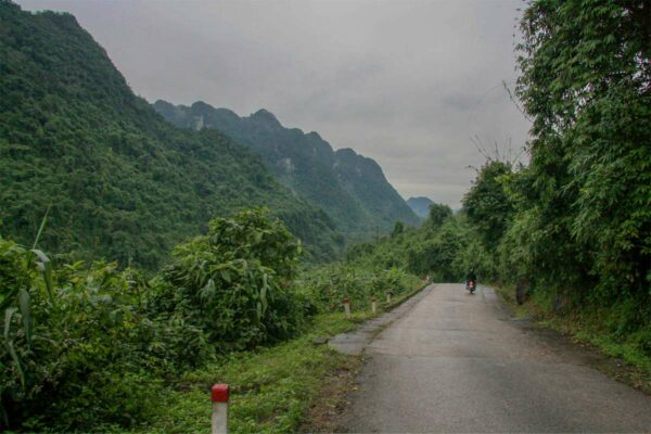 Phong Nha 2024 | 10 Best Thing to Do & Travel Guide