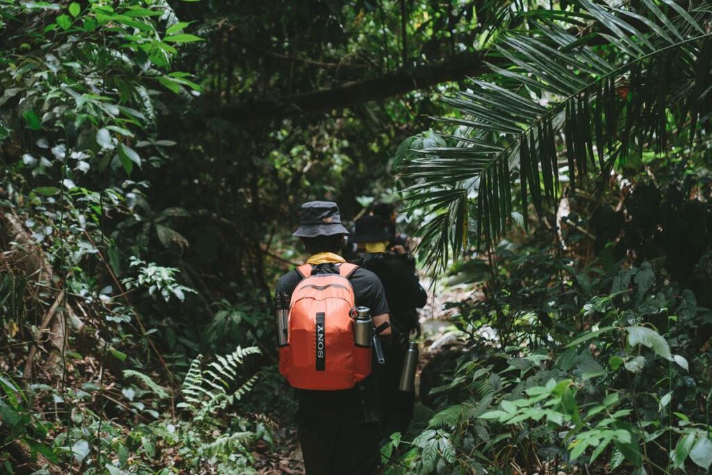 Phong Nha jungle trekking