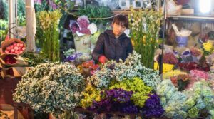 Quang Ba flower market