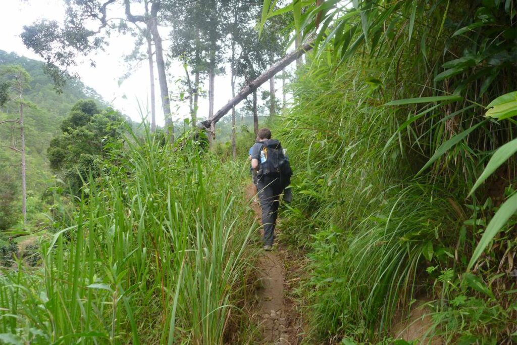 Trekking in Dalat