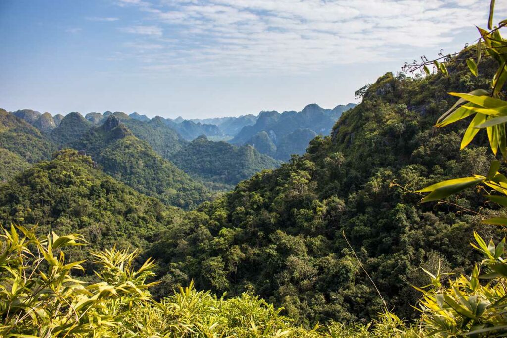 Cat Ba Island