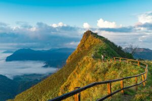 Con Dao National Park
