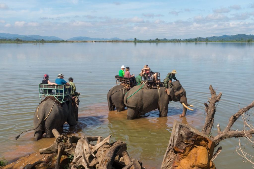 elephant riding in Vietnam