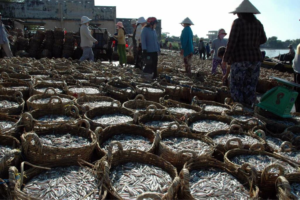 Mui Ne fish market