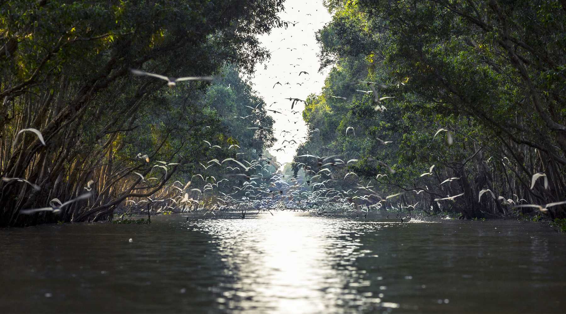 Tram Chim National Park Travel guide 2024 & 5 highlights