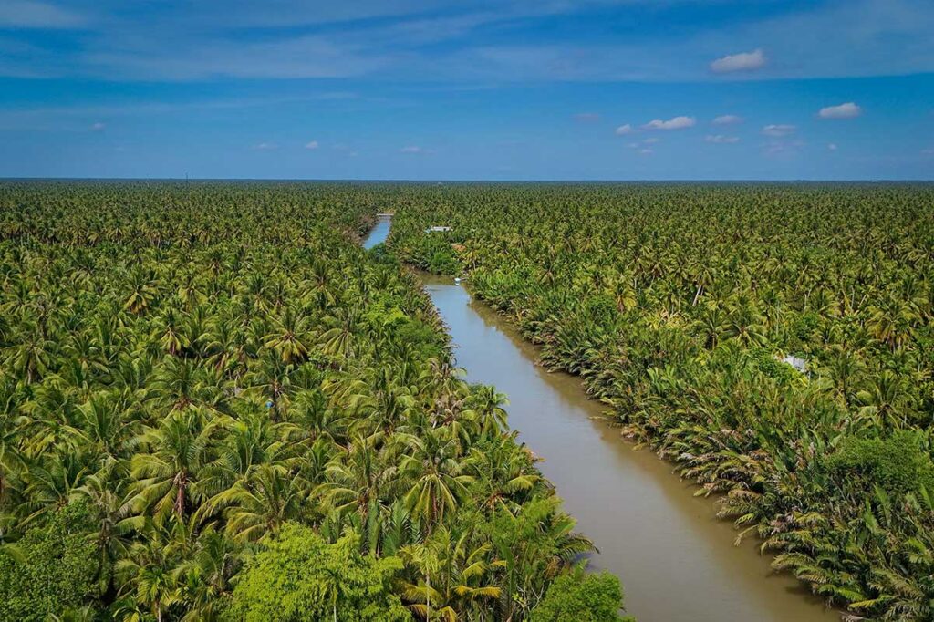 Aerial view of endless coconut palm plantations and winding canals in Ben Tre, Vietnam, showing why it is called the land of coconuts.