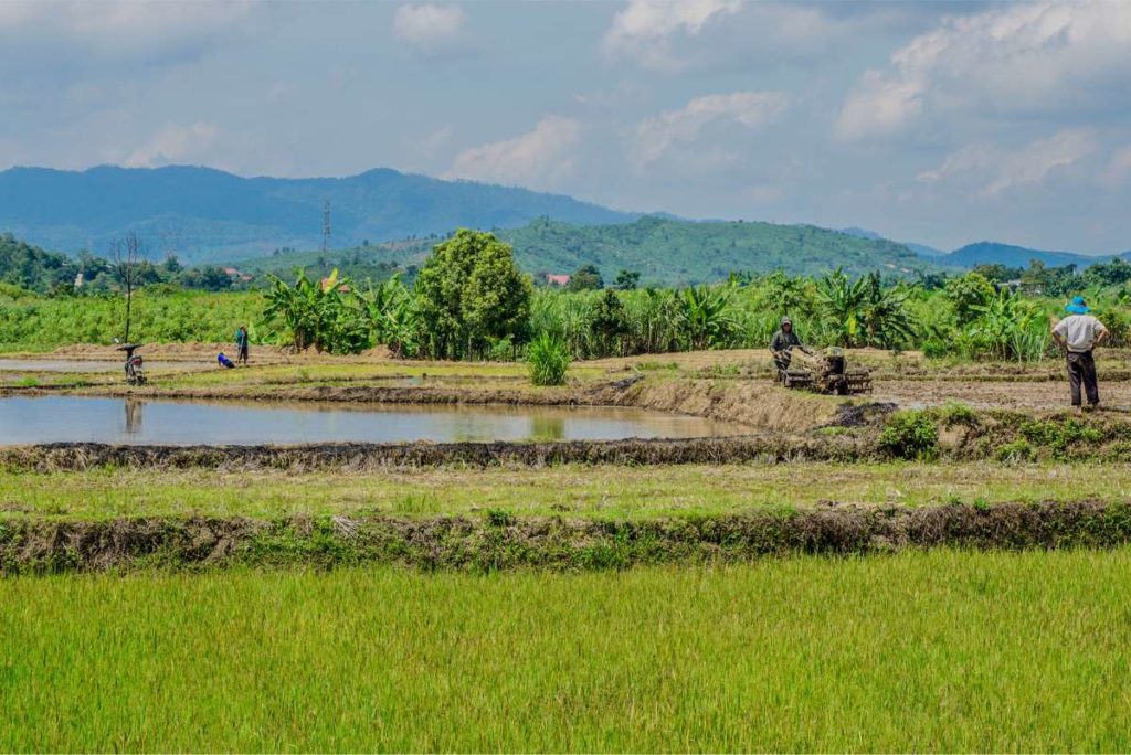Central Highlands Vietnam