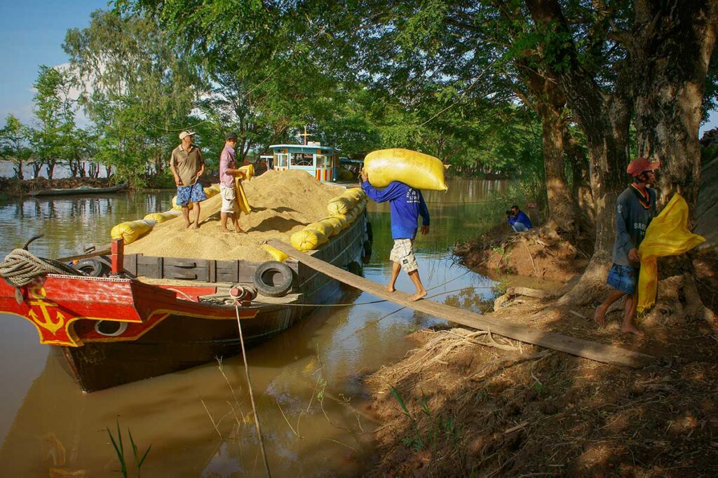 Loading rice harvest onto a Mekong boat in Dong Thap countryside