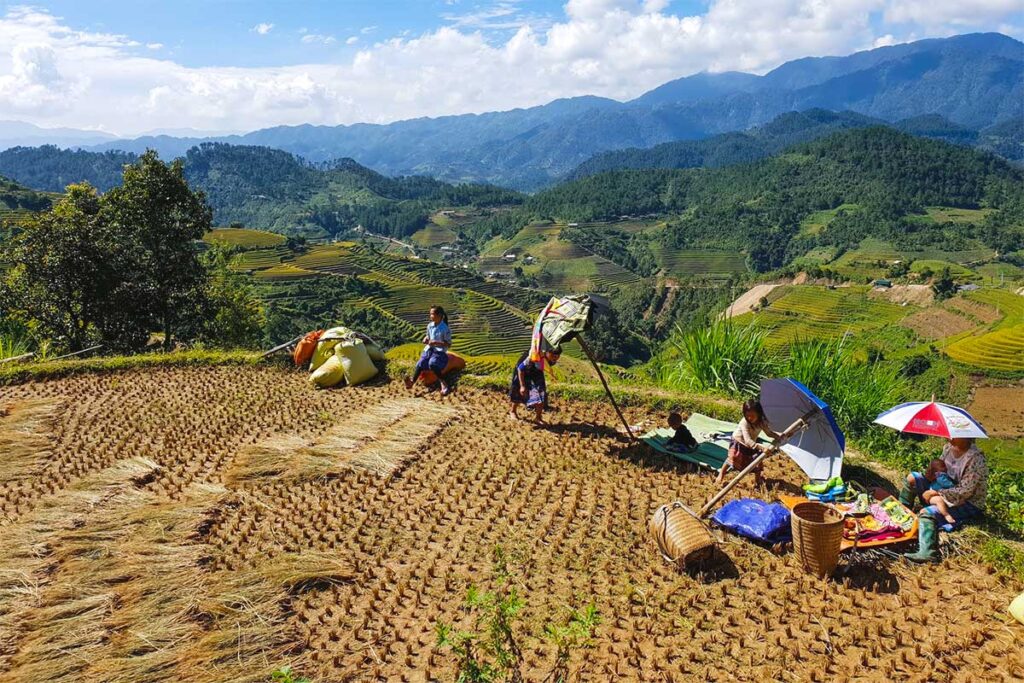 Ethnic people are working on a terraced rice fields at La Pan Tan in Mu Cang Chai