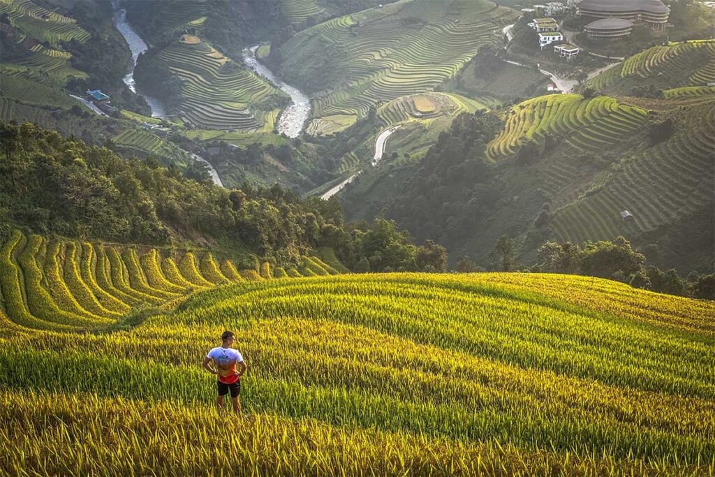 Golden rice terraced of Mu Cang Chai in Yen Bai province