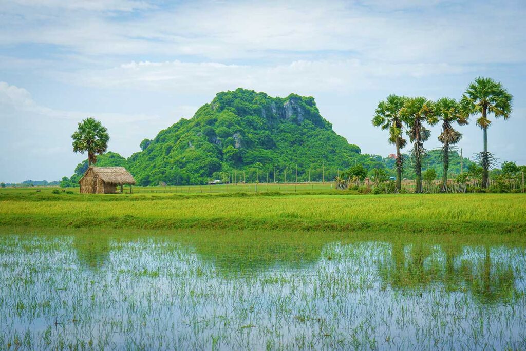 Nui Da Dung Mountain in Ha Tien rising above green rice fields and palm trees, a popular sightseeing stop.