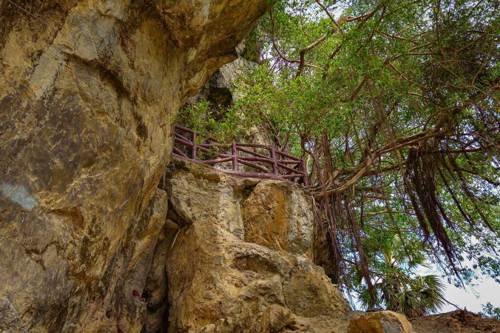 Pathway along cliffs and trees at Thach Dong Cave, an atmospheric place to explore in Ha Tien.