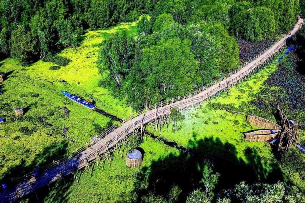 Tra Su bamboo bridge