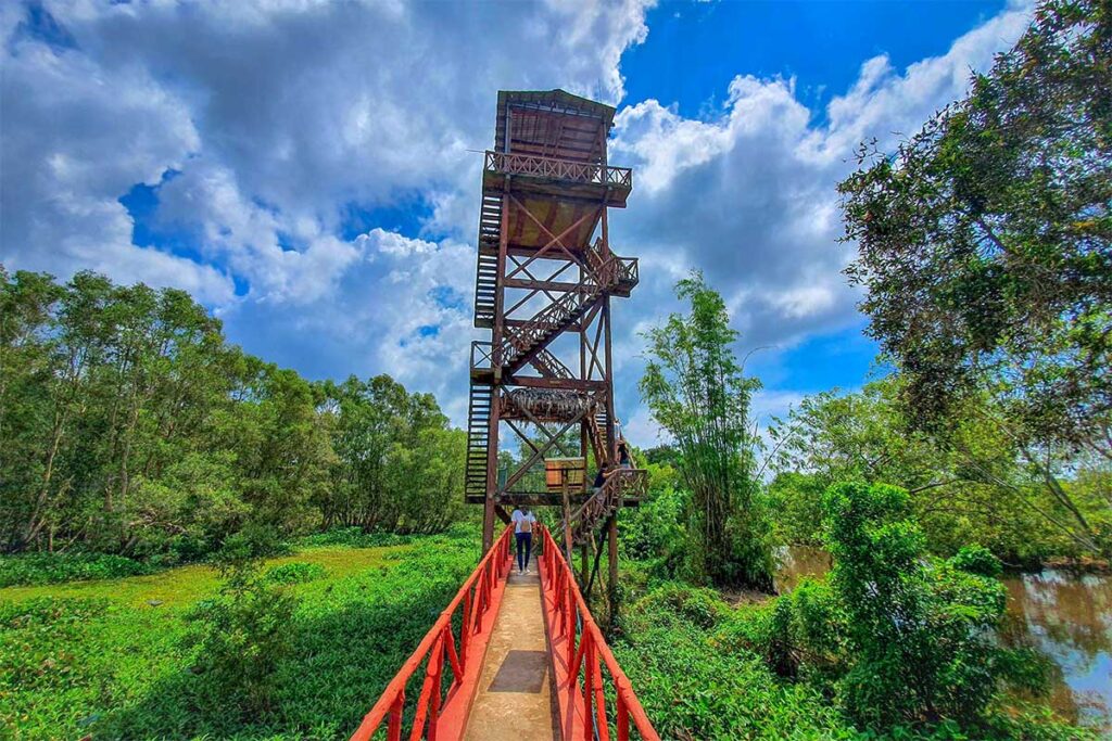 Observation tower and red bridge for birdwatching in Tram Chim National Park
