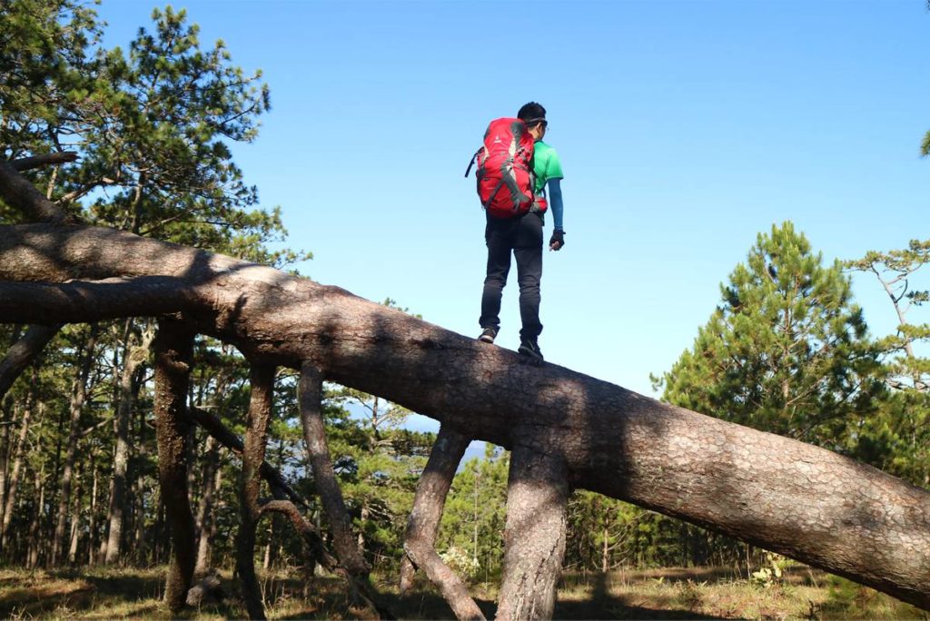 trekking in Bidoup National park