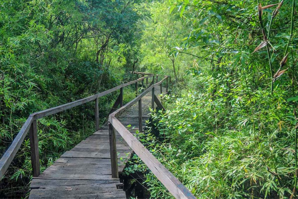 trekking in Cat Tien National Park