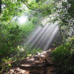 climbing and trekking Langbiang