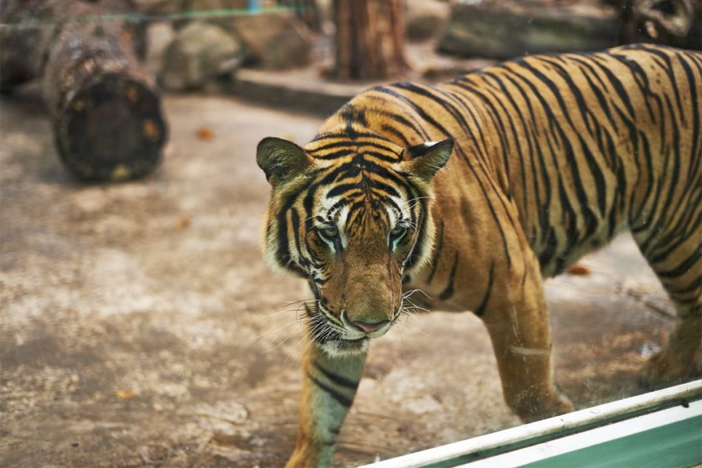 hanoi wildlife tour