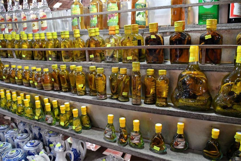 Vietnamese snake wine