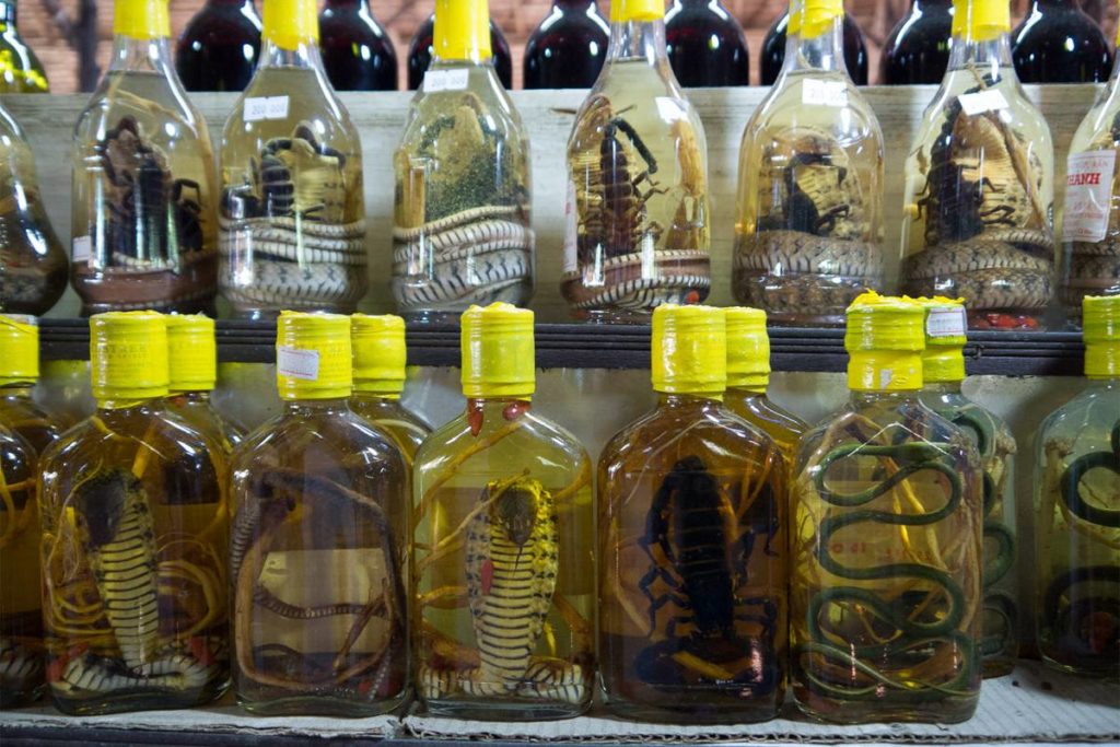 Vietnamese snake wine