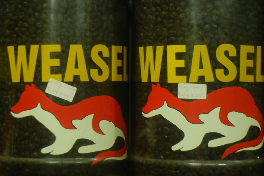 Weasel coffee Vietnam