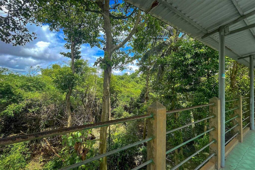 View from the observation tower overlooking dense green trees at Bang Lang Stork Sanctuary