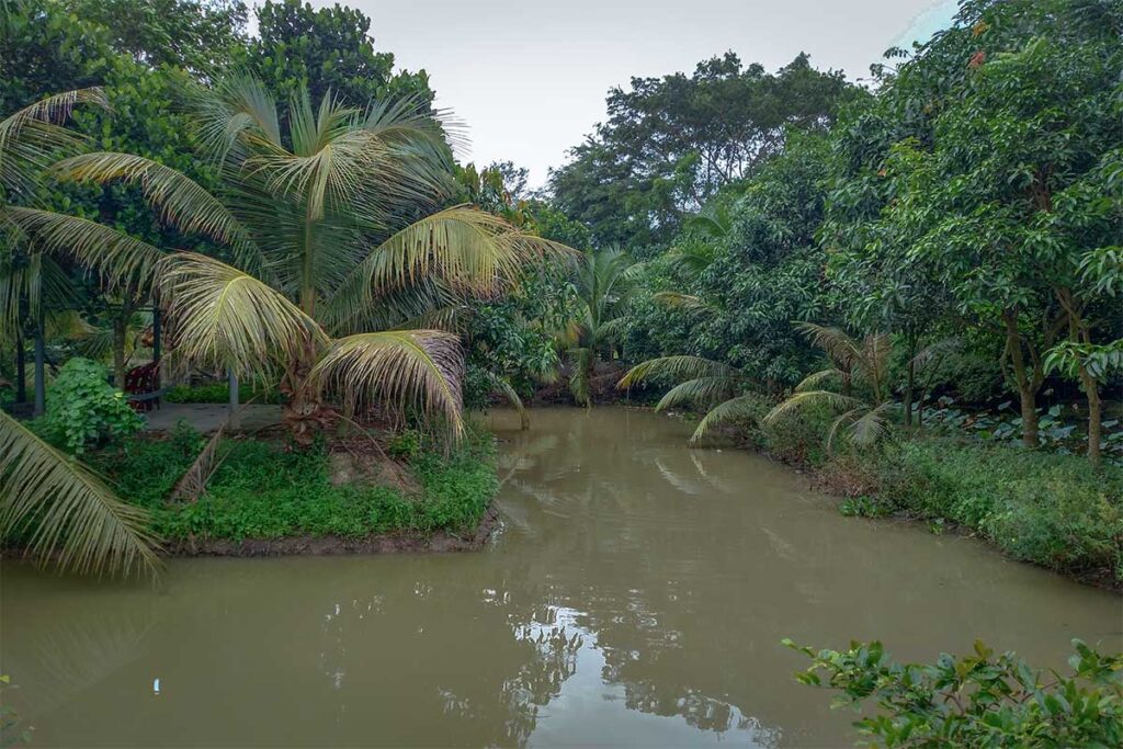 Canal inside Bang Lang Stork Sanctuary surrounded by palm and fruit trees in Can Tho countryside