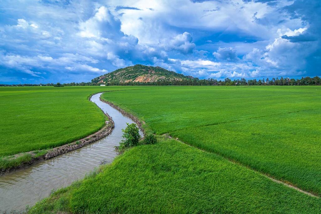 Sam Mountain rising above green rice fields and irrigation canal in Chau Doc, An Giang Province, Mekong Delta.