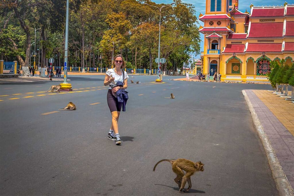 A tourist walking at the Cao Dai Temple in Tay Ninh with monkeys running around the street