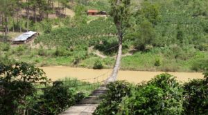 suspension bridge during hiking and trekking in Dalat