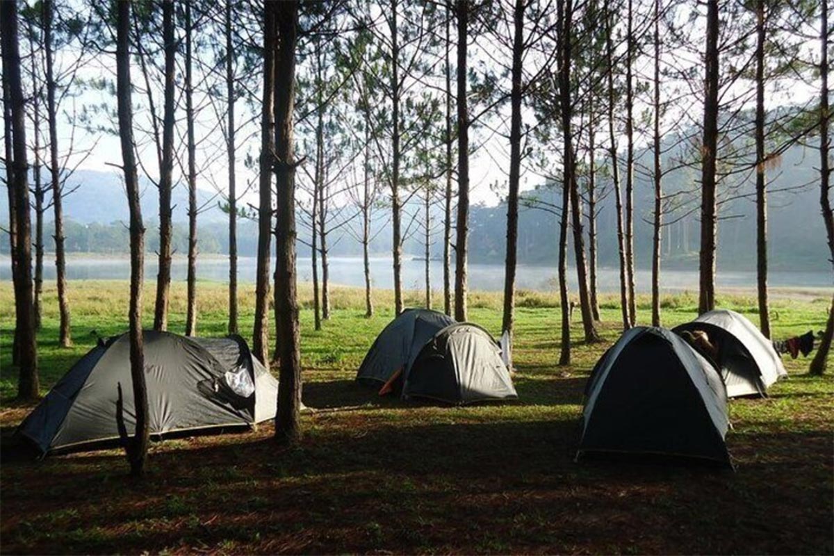camping in Dalat at Da Phu hill