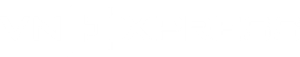 white logo of VN Express