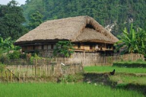 A stilt house of Tay minority in Thon Tha Village in Ha Giang