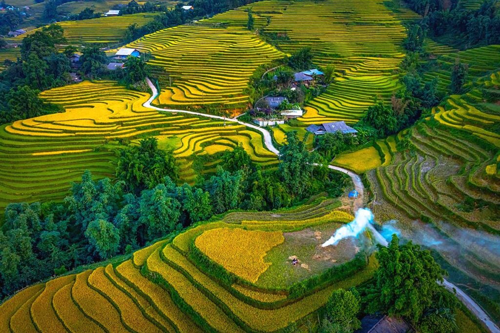 Rice fields around Y Linh Ho