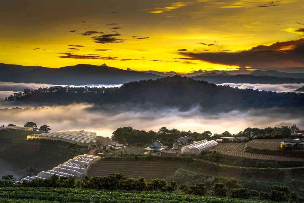 Dalat Countryside: Lush green valleys, mountains, and plantations surround the city of Dalat, Vietnam.